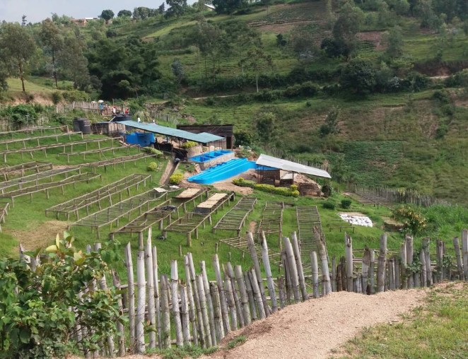 Mubuga coffee washing station