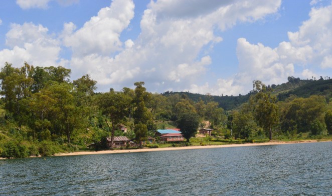 d5a6a634-c7ed-4b15-991f-13055e666e54