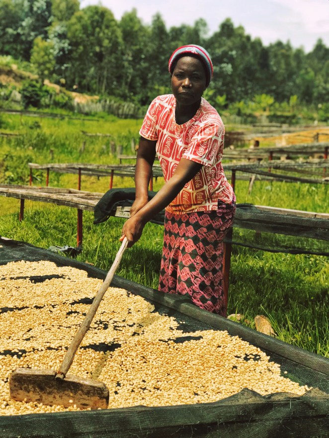 Processed with MOLDIV