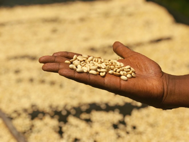 Processed with MOLDIV