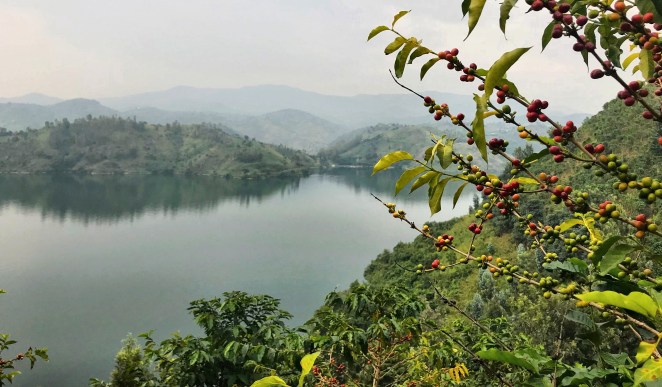 Processed with MOLDIV